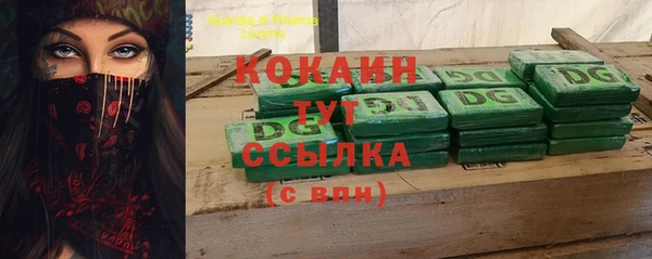 шишки Дмитровск