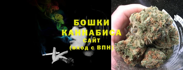 PSILOCYBIN Дмитров