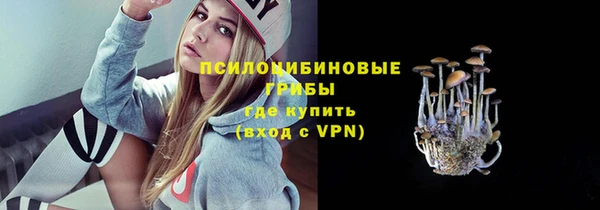 PSILOCYBIN Дмитров