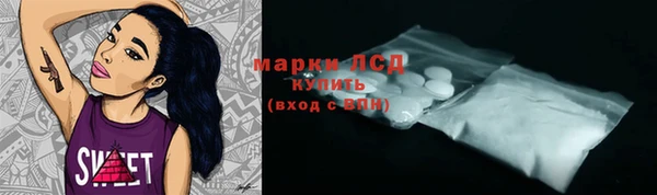 шишки Дмитровск