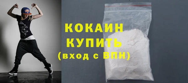 шишки Дмитровск
