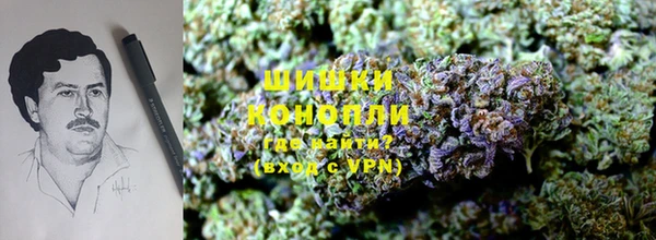 шишки Дмитровск