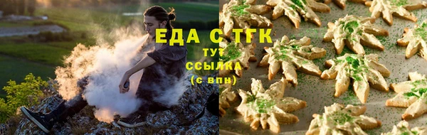 шишки Дмитровск