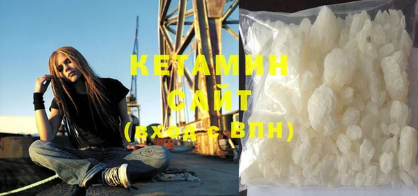 шишки Дмитровск