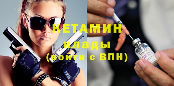 шишки Дмитровск